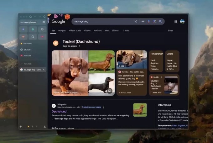 Zen Browser organiza abas em workspaces, split view, plug-ins e temas para internet mais tranquila