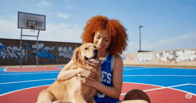 Atualização do Google Gemini imagem 2.5 Flash Image com edição precisa e controle por linguagem natural para fotos e composições