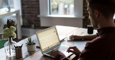 Trabalho remoto que paga em dólar: plataformas e dicas práticas para começar com segurança
