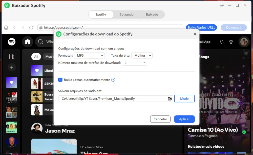 Tela do YT Saver mostrando seleção de faixas do Spotify para conversão