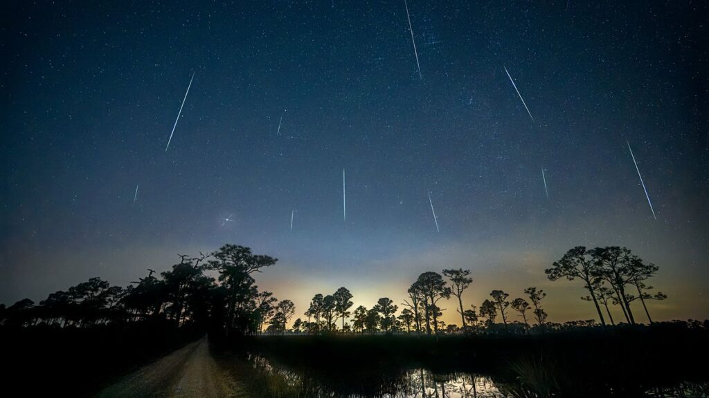 Geminídeas 2025: chuva de meteoros terá pico na madrugada de 14 de dezembro 1 Chuva de meteoros Geminídeas cruzando o céu noturno - Flickr/Diana Robinson