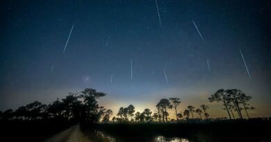 Chuva de meteoros Geminídeas cruzando o céu noturno - Flickr/Diana Robinson