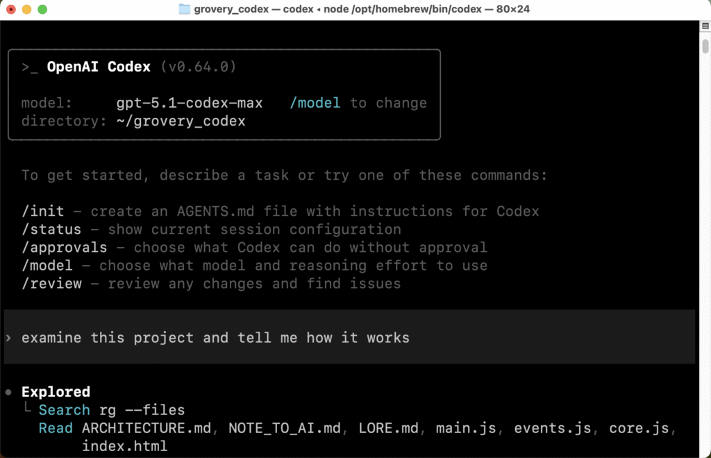 Terminal com OpenAI Codex em execução