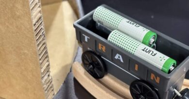 Baterias de papel feitas de plantas podem substituir pilhas AA e AAA