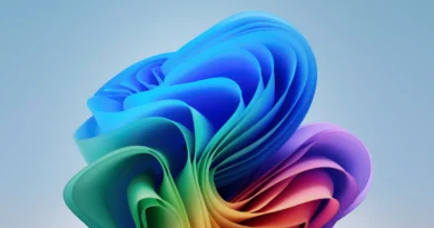 Windows 11 hits 72% share as Windows 10 fades, but not everyone is happy