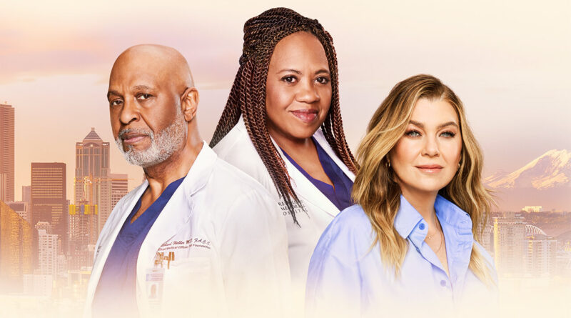 Grey’s Anatomy temporada 22 Netflix EUA