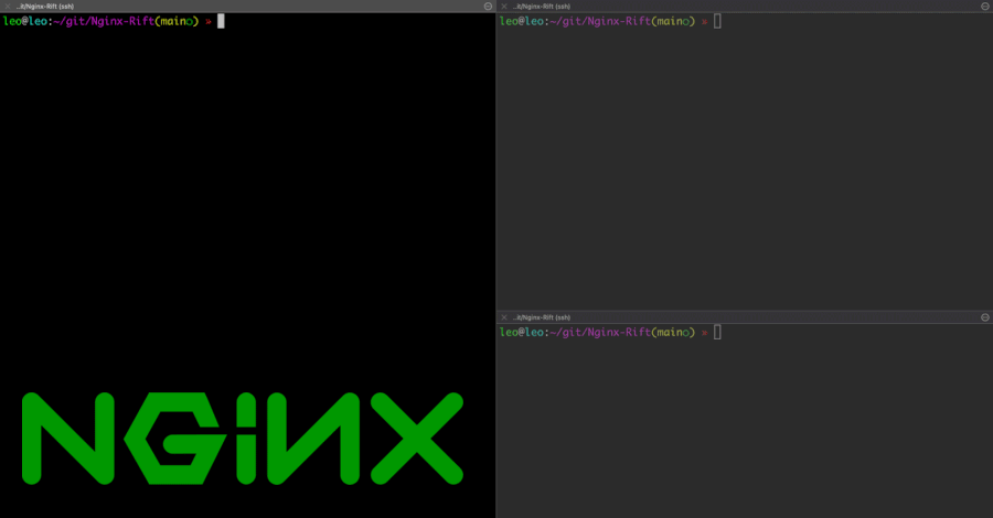 Representação gráfica sobre falha NGINX Rift em servidores Web