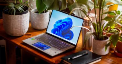 Atualização do Windows 11 causa bug na Lixeira e falhas no sistema