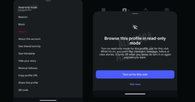 Tela do Instagram Plus com modo somente leitura para perfis