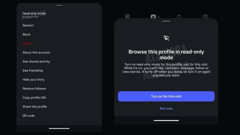 Tela do Instagram Plus com modo somente leitura para perfis