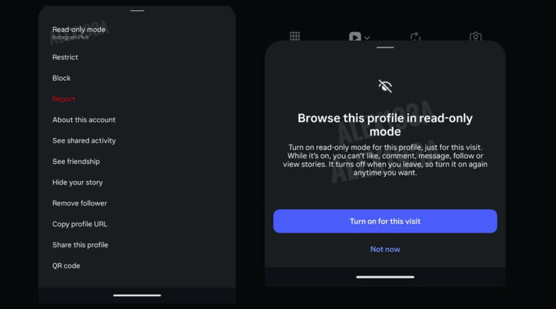 Tela do Instagram Plus com modo somente leitura para perfis